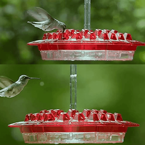 Diamond Shaped Hummingbird Feeder with Bee Blocking Ports and Raised Design