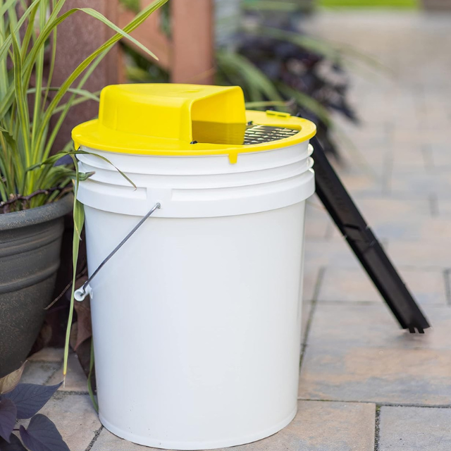 Humane Bucket Trap with Auto Reset Flip Platform and Climbing Ladders