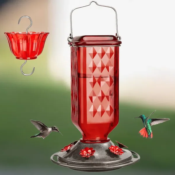Glass Hummingbird Feeder with Ant Moat and Six Flower Ports, 24oz Capacity
