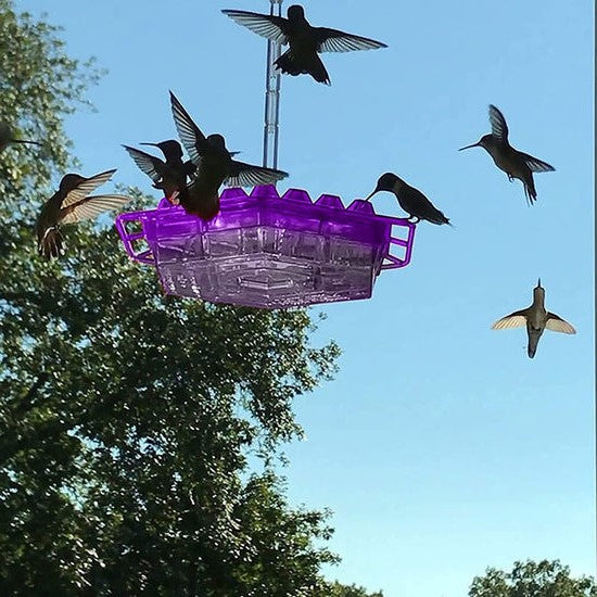 Diamond Shaped Hummingbird Feeder with Bee Blocking Ports and Raised Design