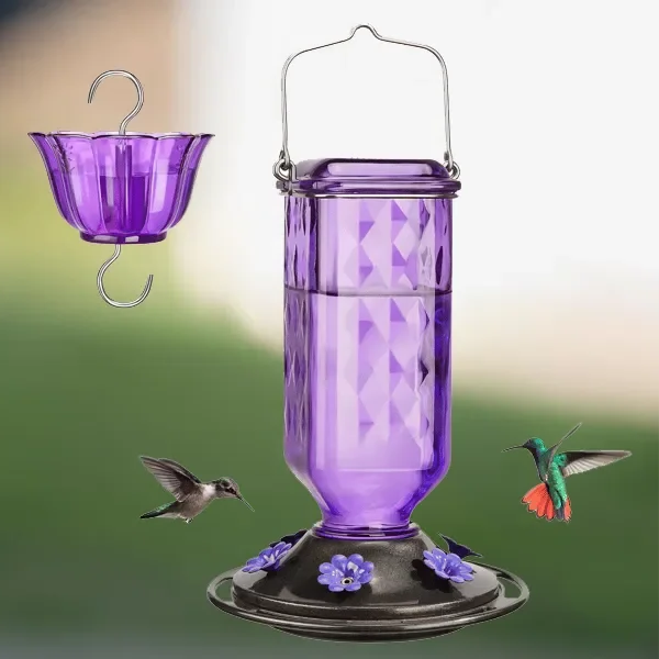 Glass Hummingbird Feeder with Ant Moat and Six Flower Ports, 24oz Capacity
