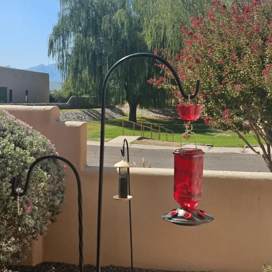 Glass Hummingbird Feeder with Ant Moat and Six Flower Ports, 24oz Capacity