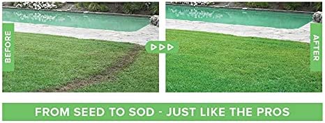Liquid Grass Spray with Seed and Fiber Mulch for Bare Lawn Patches