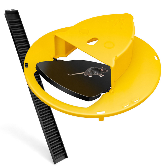 Humane Bucket Trap with Auto Reset Flip Platform and Climbing Ladders