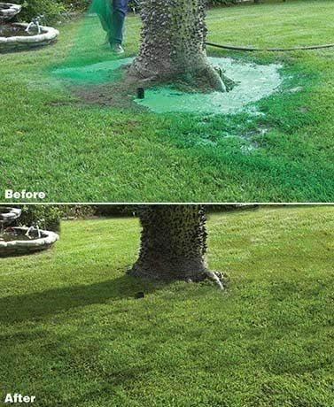 Liquid Grass Spray with Seed and Fiber Mulch for Bare Lawn Patches