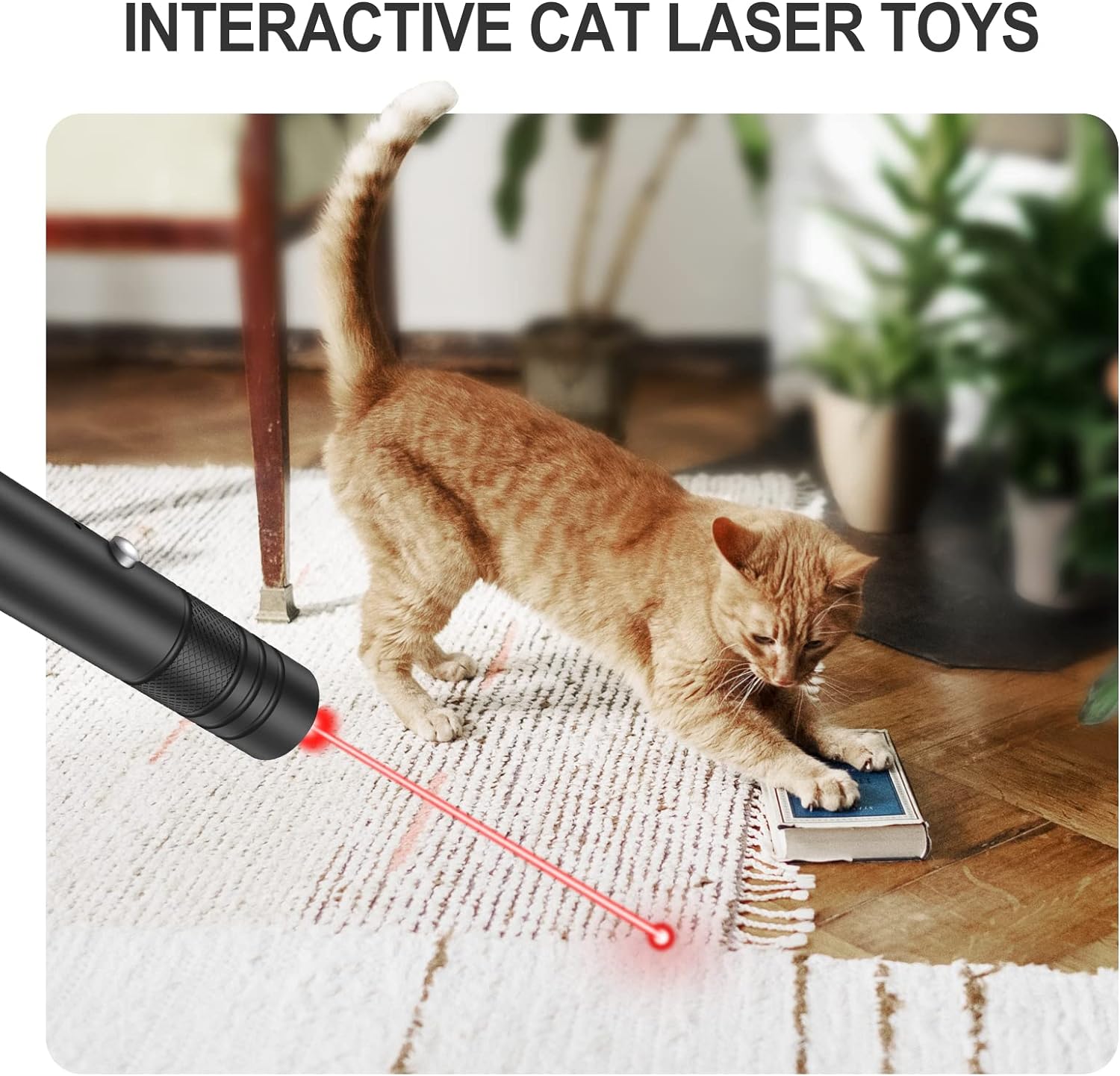 Green Laser Pointer with Rotating Star Cap and Rechargeable Battery, 2000ft Range