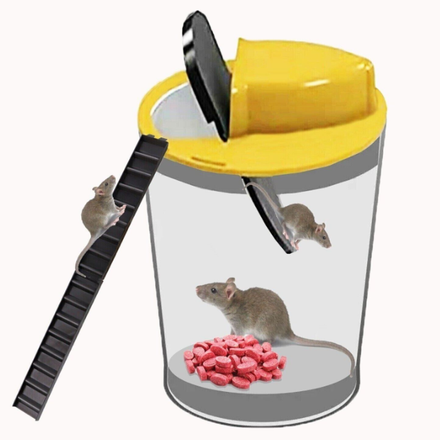 Humane Bucket Trap with Auto Reset Flip Platform and Climbing Ladders