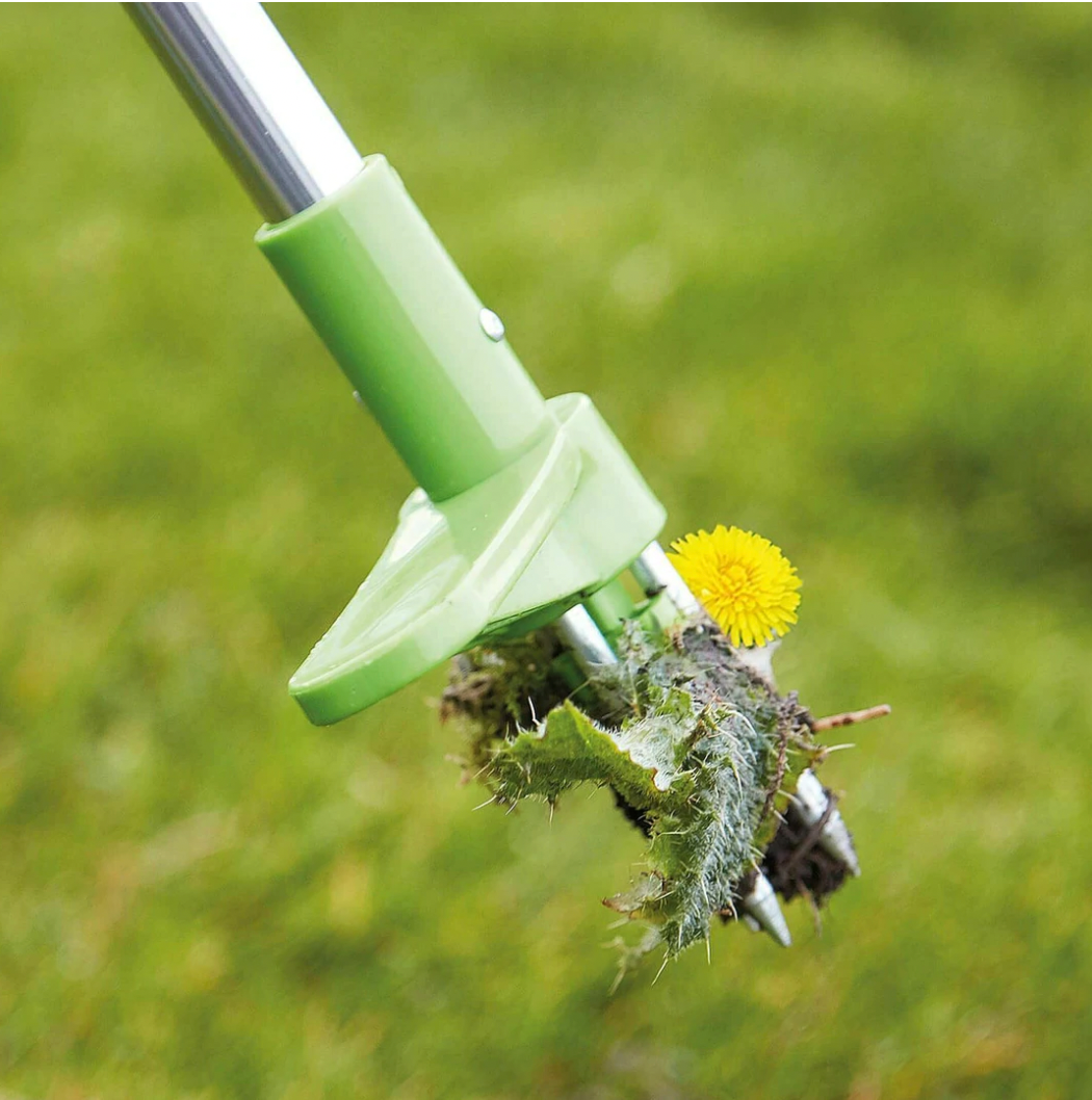 Standing Weed Puller with Three Pronged Claw and Spring Release, 36 Inch Handle
