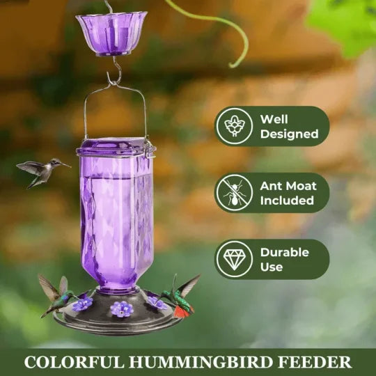Glass Hummingbird Feeder with Ant Moat and Six Flower Ports, 24oz Capacity