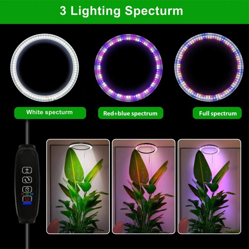 Ring LED Grow Light with Adjustable Height and Timer for Indoor Plants