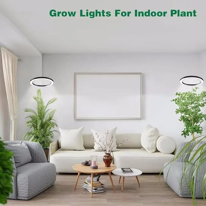 Ring LED Grow Light with Adjustable Height and Timer for Indoor Plants