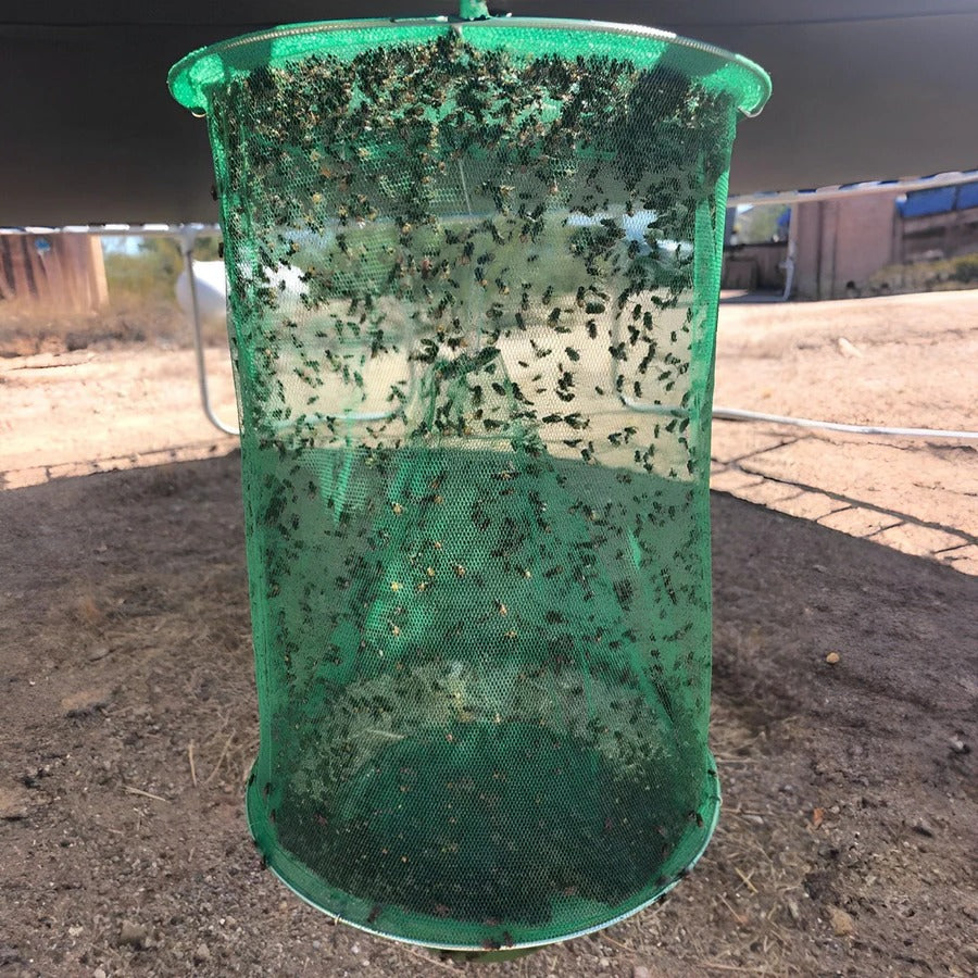 Expandable Fly Trap with Natural Bait Units and High-Capacity Chamber
