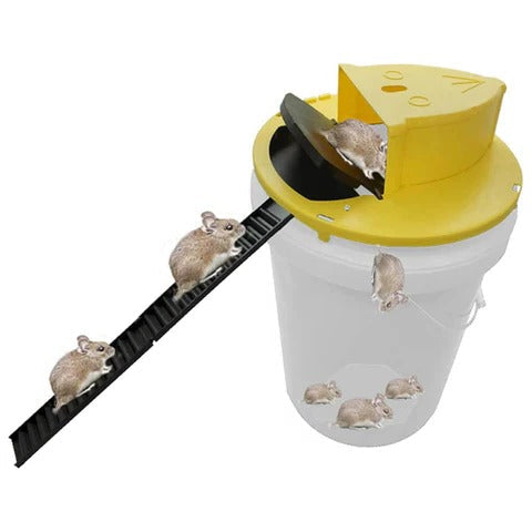 Bucket Trap Cover with Automatic Reset and Dual Ladders for 5-Gallon Rodent Capture