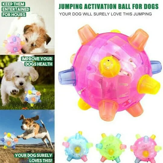 Interactive Bouncing Ball with Touch Activation for Dogs