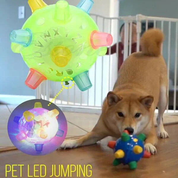 Interactive Bouncing Ball with Touch Activation for Dogs