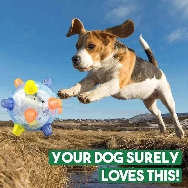 Interactive Bouncing Ball with Touch Activation for Dogs