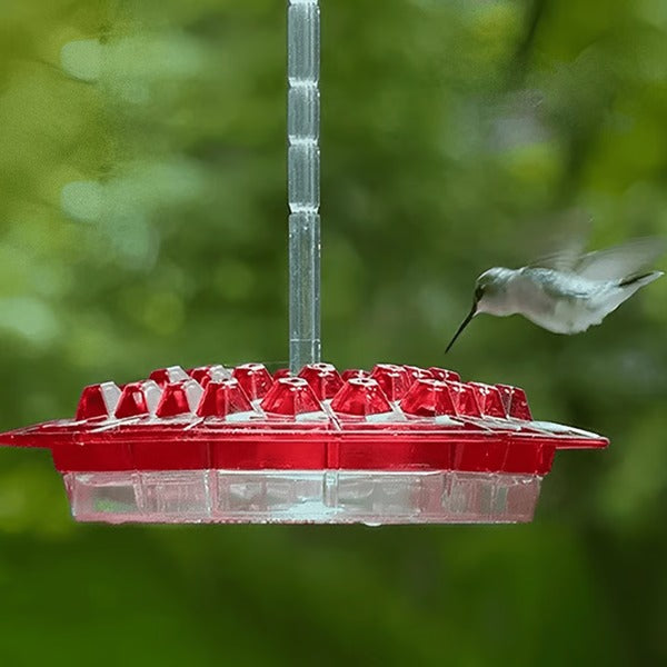 Hummingbird Feeder with Ant Moat and 30 Feeding Ports