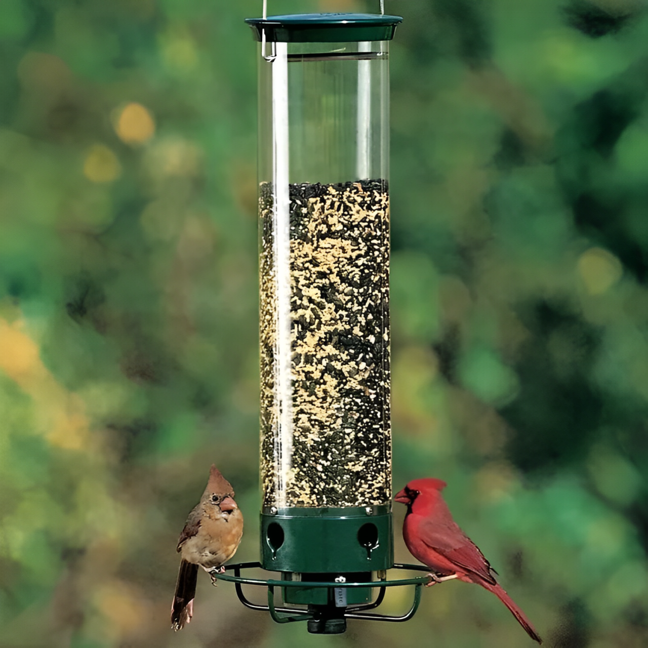Wild Bird Feeder with Spinning Perch and Metal Cap, 5-Pound Capacity