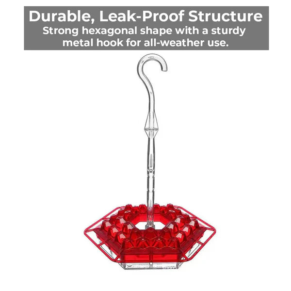 Hummingbird Feeder with Ant Moat and Bee-Resistant Diamond Ports, 12oz Capacity