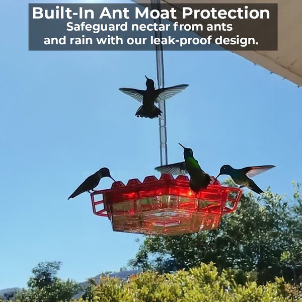 Hummingbird Feeder with Ant Moat and Bee-Resistant Diamond Ports, 12oz Capacity