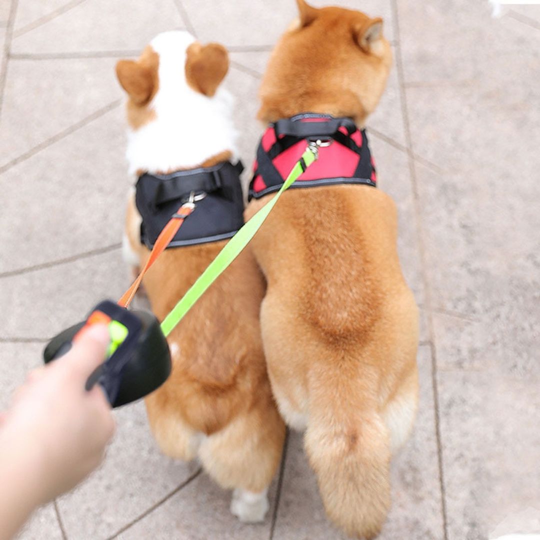 Dual Lead Dog Leash with Rotating Swivel Joint and Padded Handle