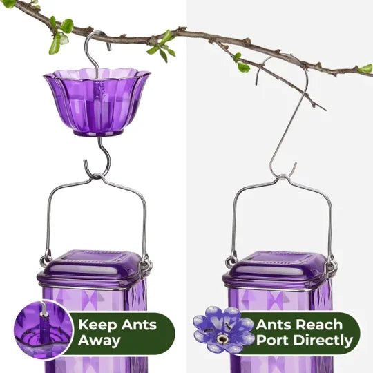 Glass Hummingbird Feeder with Ant Moat and Six Flower Ports, 24oz Capacity