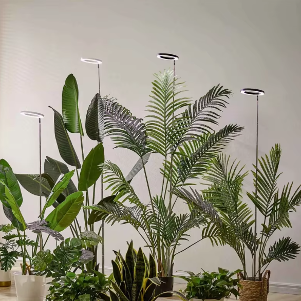 Ring LED Grow Light with Adjustable Height and Timer for Indoor Plants