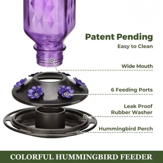 Glass Hummingbird Feeder with Ant Moat and Six Flower Ports, 24oz Capacity