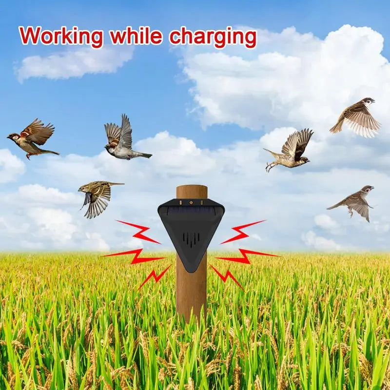 Solar Powered Bird Repeller with 13 Predator Sounds and Automatic Day Night Cycle