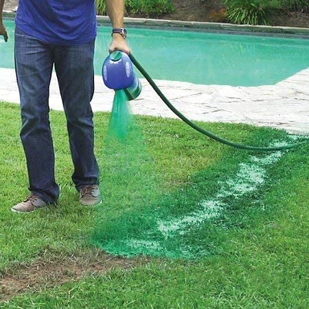 Liquid Grass Spray with Seed and Fiber Mulch for Bare Lawn Patches