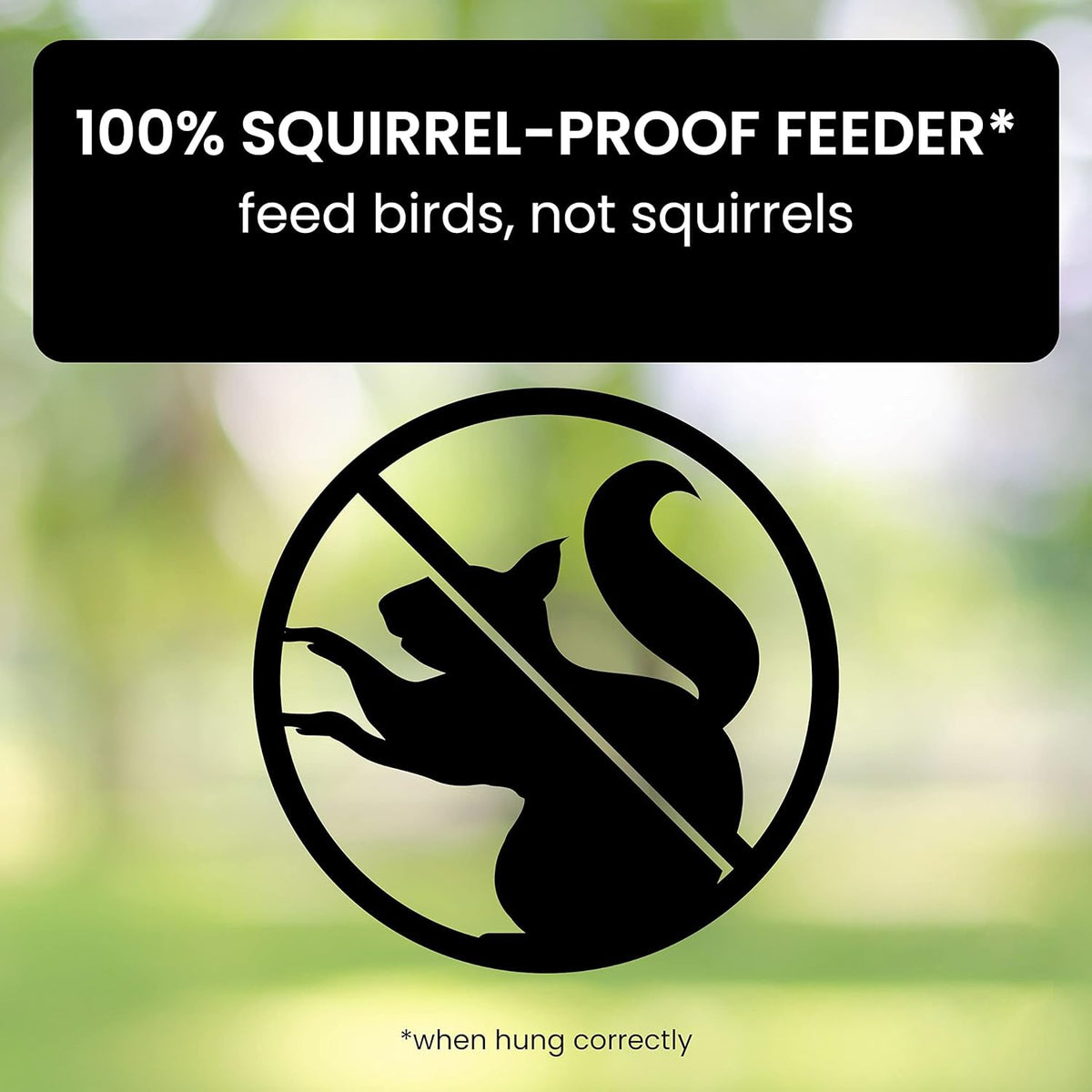 Wild Bird Feeder with Spinning Perch and Metal Cap, 5-Pound Capacity
