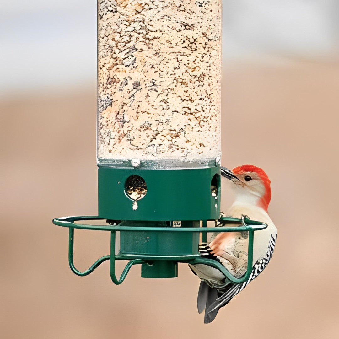 Wild Bird Feeder with Spinning Perch and Metal Cap, 5-Pound Capacity