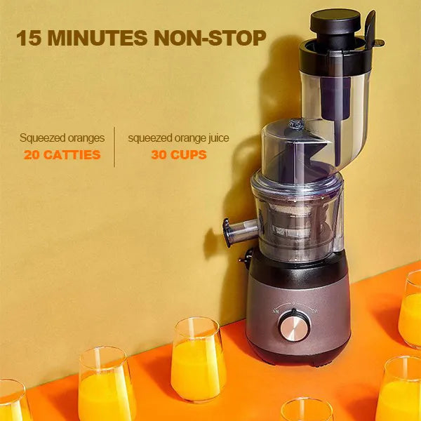 Automatic Cold Press Juicer with 90mm Wide Chute and Screw Shaft Extraction