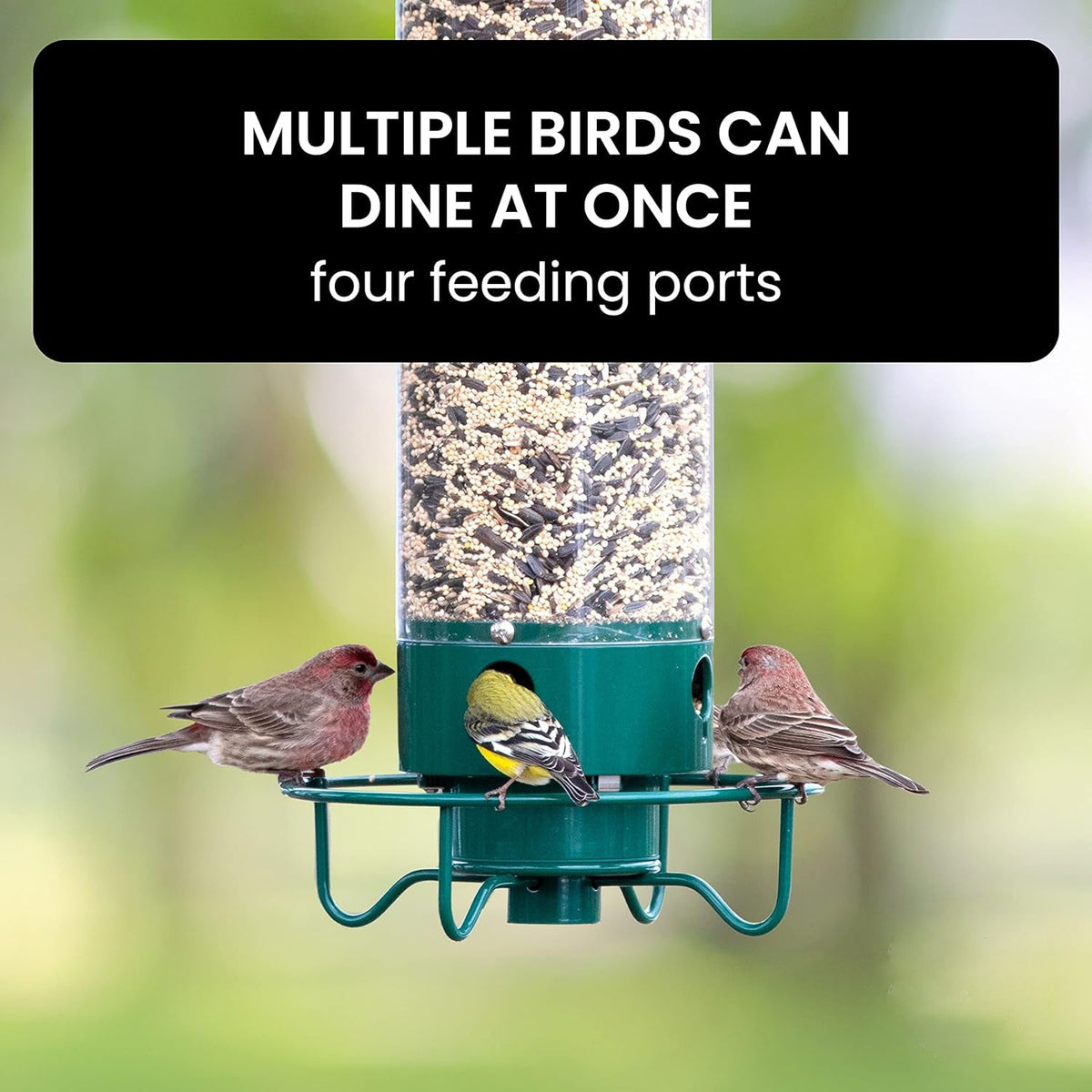 Wild Bird Feeder with Spinning Perch and Metal Cap, 5-Pound Capacity
