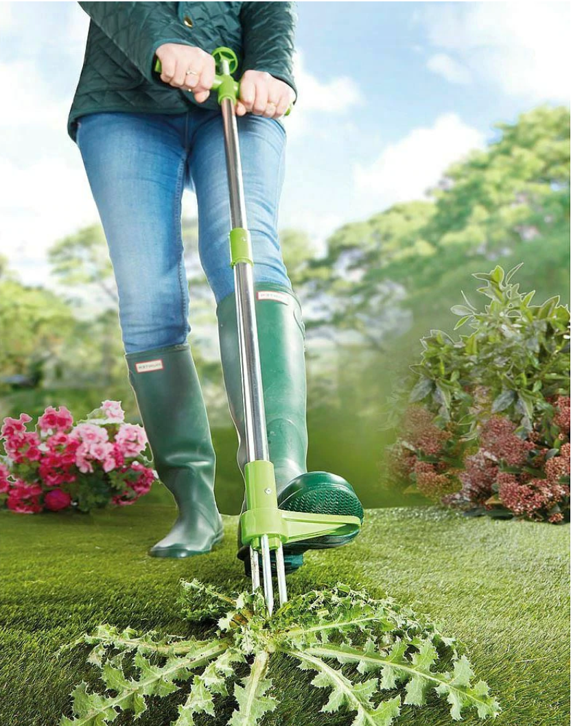 Standing Weed Puller with Three Pronged Claw and Spring Release, 36 Inch Handle