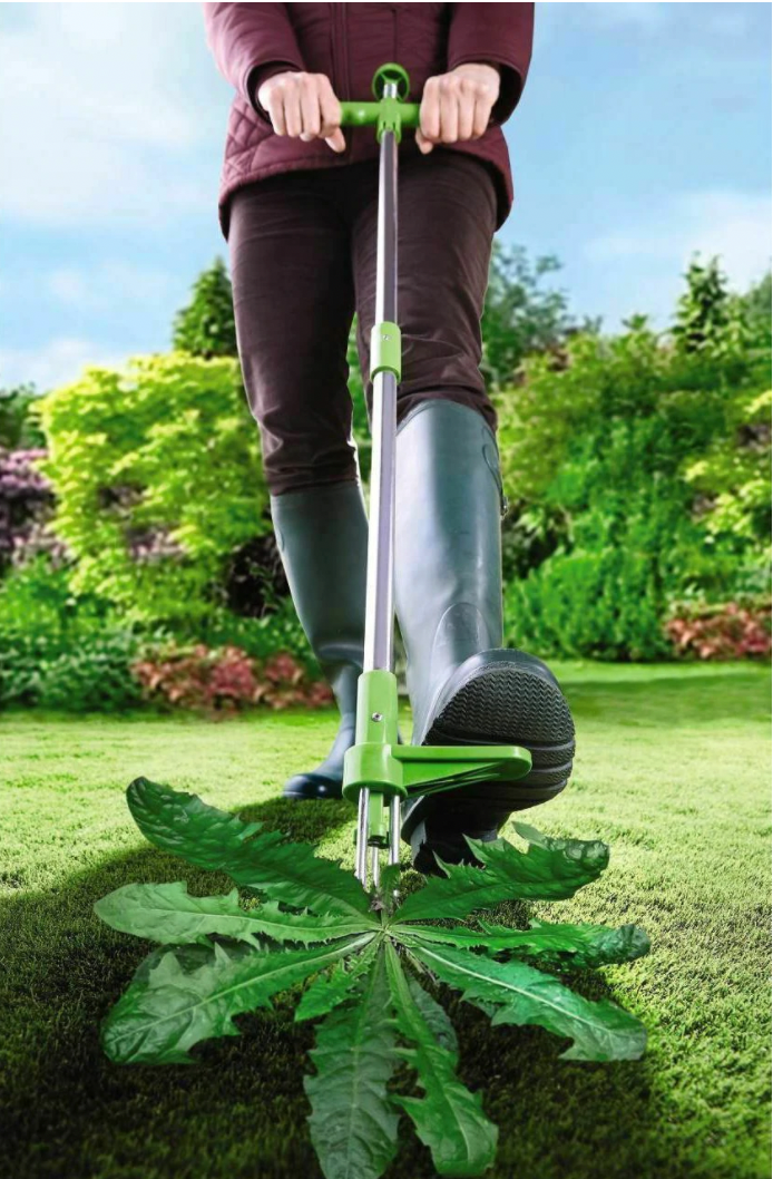 Standing Weed Puller with Three Pronged Claw and Spring Release, 36 Inch Handle