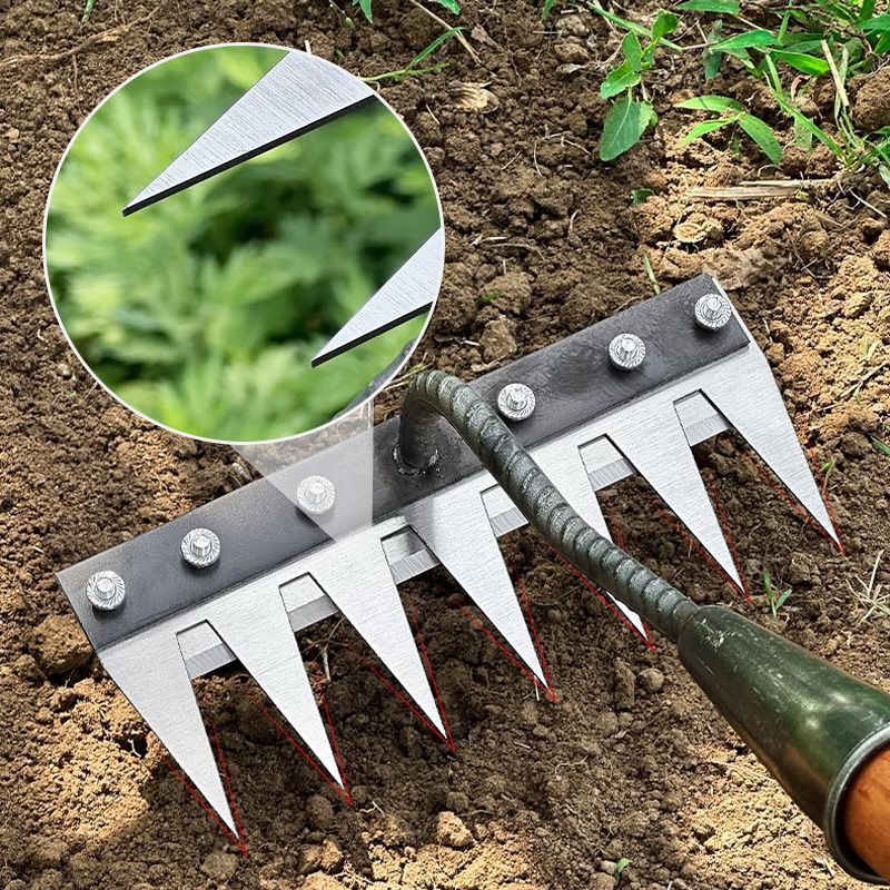 Garden Rake Head with Carbon Steel Tines and Nail Hole Mounting for Wooden Poles