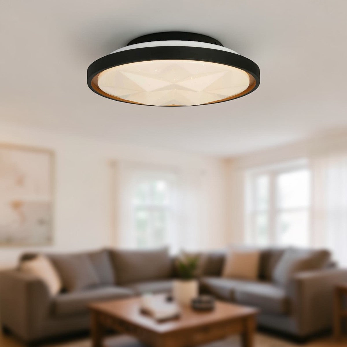 LumaAura LED Flush Mount Ceiling Light 16" Black & White with Adjustable Color Temperature