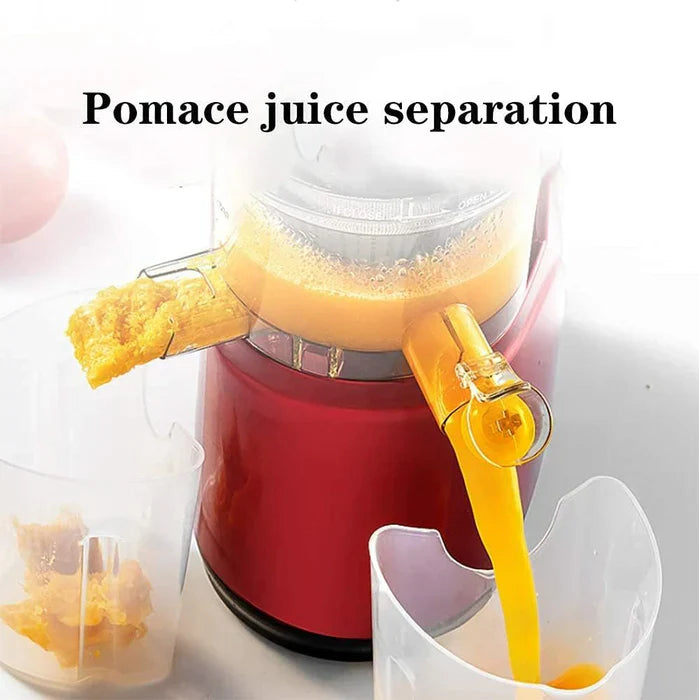 Automatic Cold Press Juicer with 90mm Wide Chute and Screw Shaft Extraction