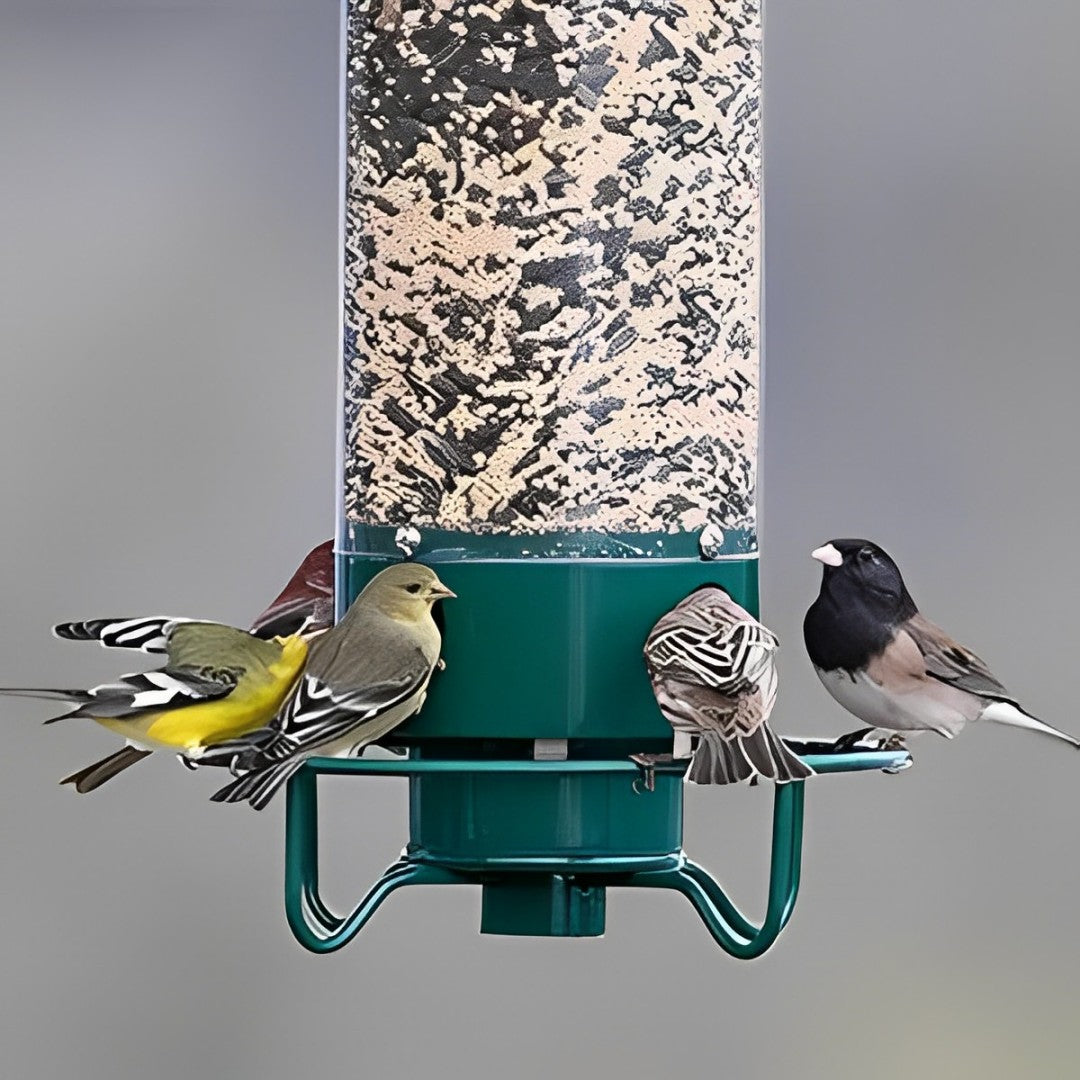 Wild Bird Feeder with Spinning Perch and Metal Cap, 5-Pound Capacity