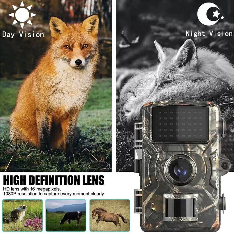 Motion Activated Wildlife Camera with Infrared Night Vision and 16MP Photo
