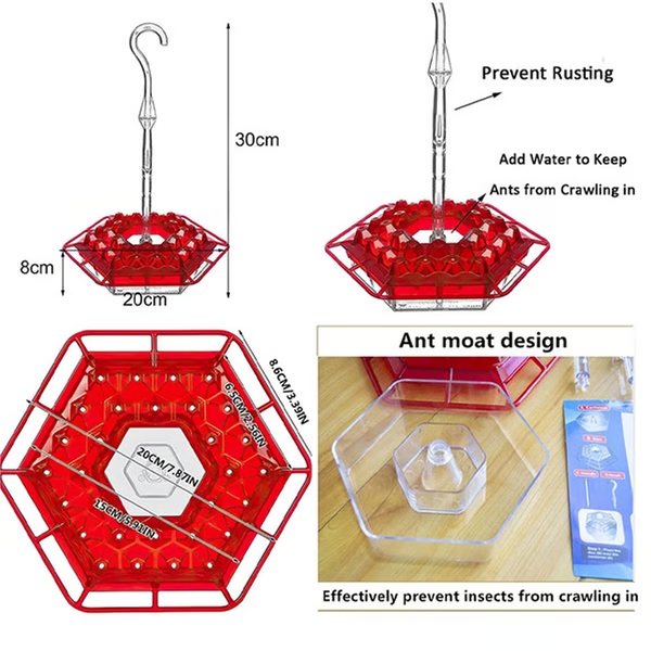 Hummingbird Feeder with Ant Moat and 30 Feeding Ports