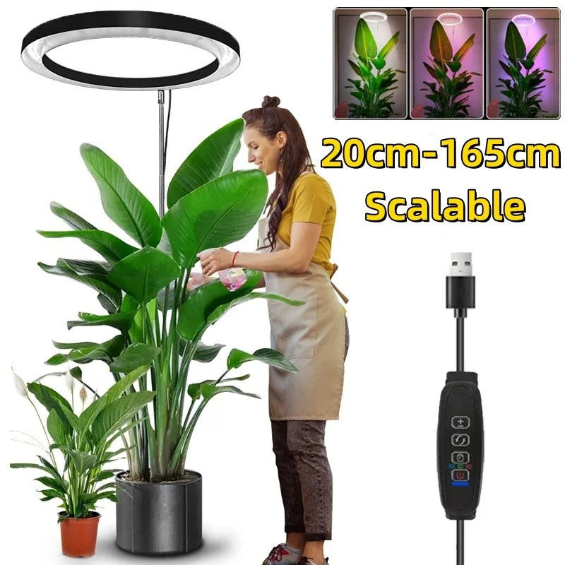 Ring LED Grow Light with Adjustable Height and Timer for Indoor Plants