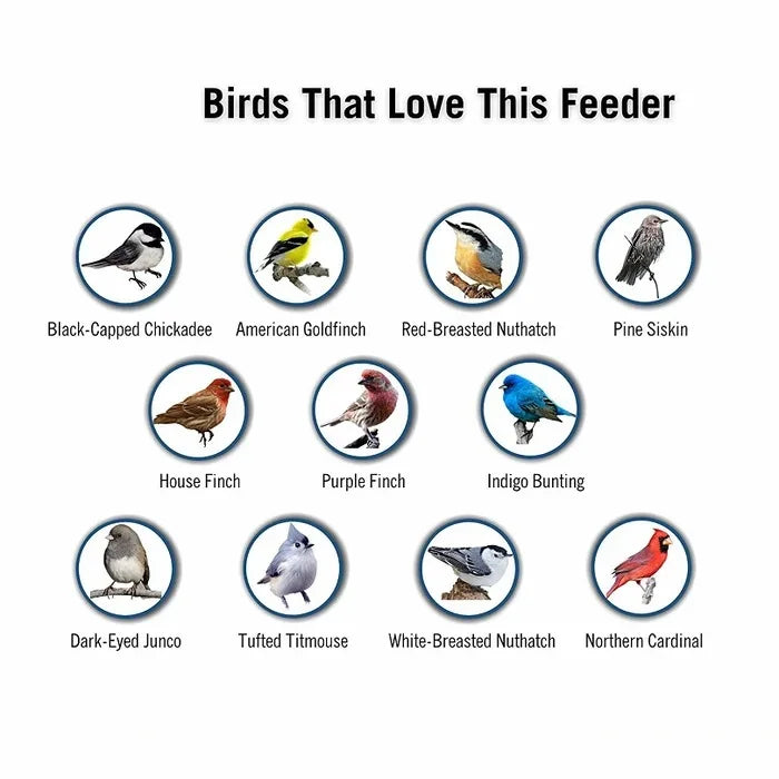 Wild Bird Feeder with Spinning Perch and Metal Cap, 5-Pound Capacity