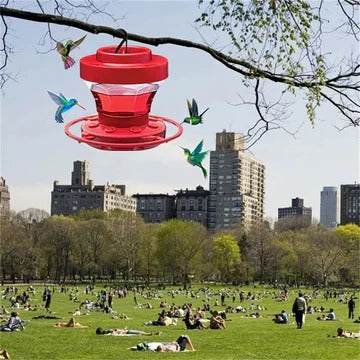 Hummingbird Feeder with Ant Moat and Eight Feeding Ports, Bee Proof Design