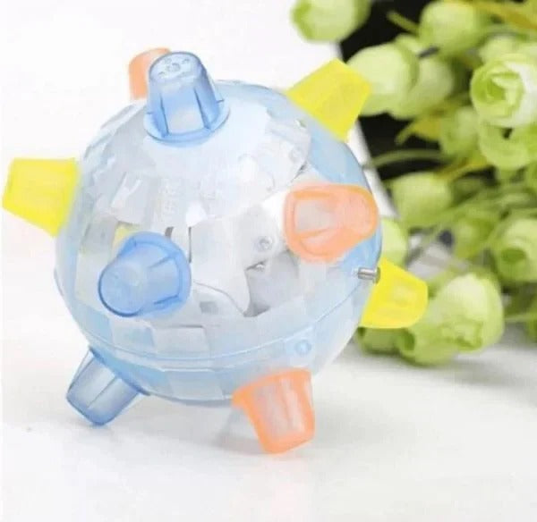 Interactive Bouncing Ball with Touch Activation for Dogs
