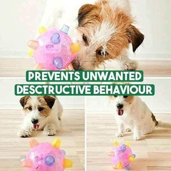 Interactive Bouncing Ball with Touch Activation for Dogs