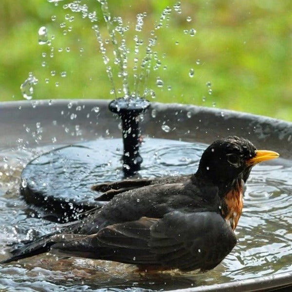 Floating Solar Water Fountain with Four Spray Patterns for Birdbaths and Garden Ponds