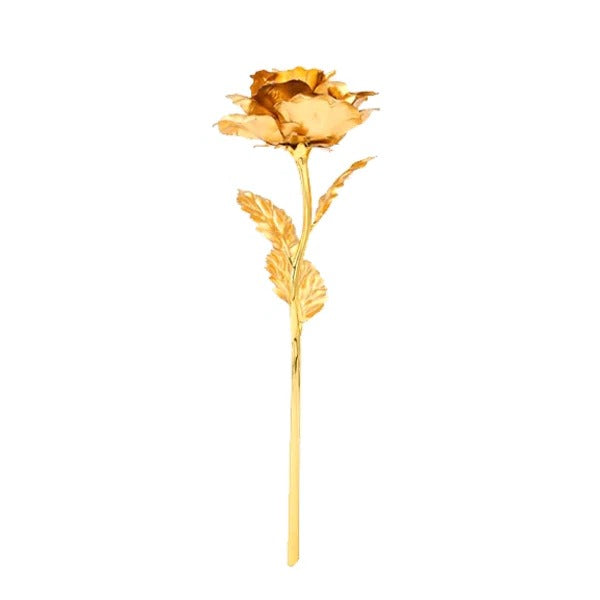 Preserved Real Rose with 24K Gold Plating and Gift Box