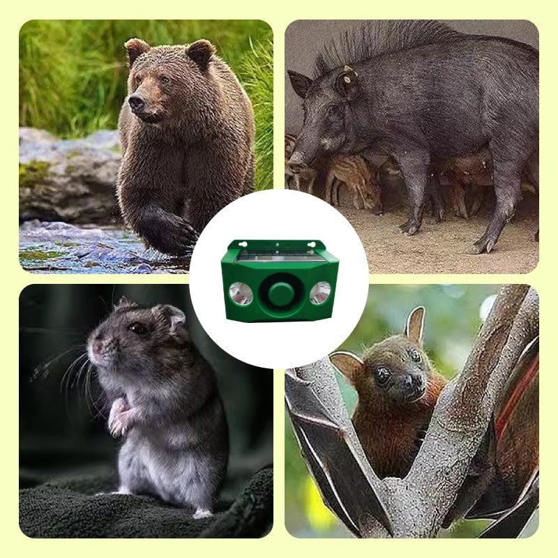 Solar Motion Sensor Light with Flashing Spotlight and Alarm for Wildlife Deterrent